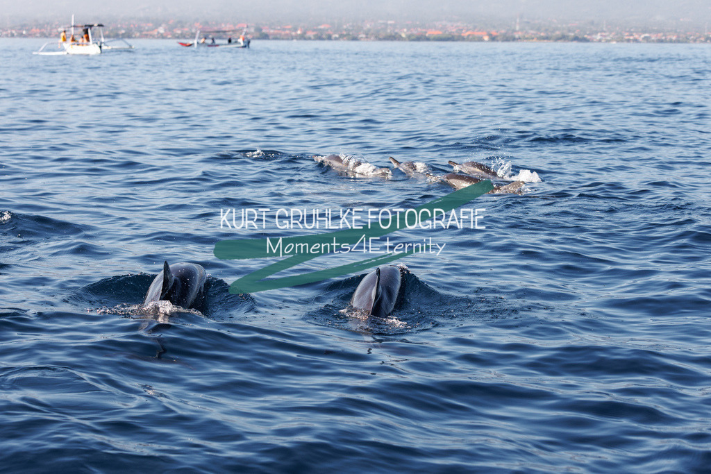 230721-1649 | onlinegalerie und Fotoshop Kurt Gruhlke Fotograf Berlin
Hochzeitsfotograf Eventfotograf Portraitfotografie
 - Realisiert mit Pictrs.com