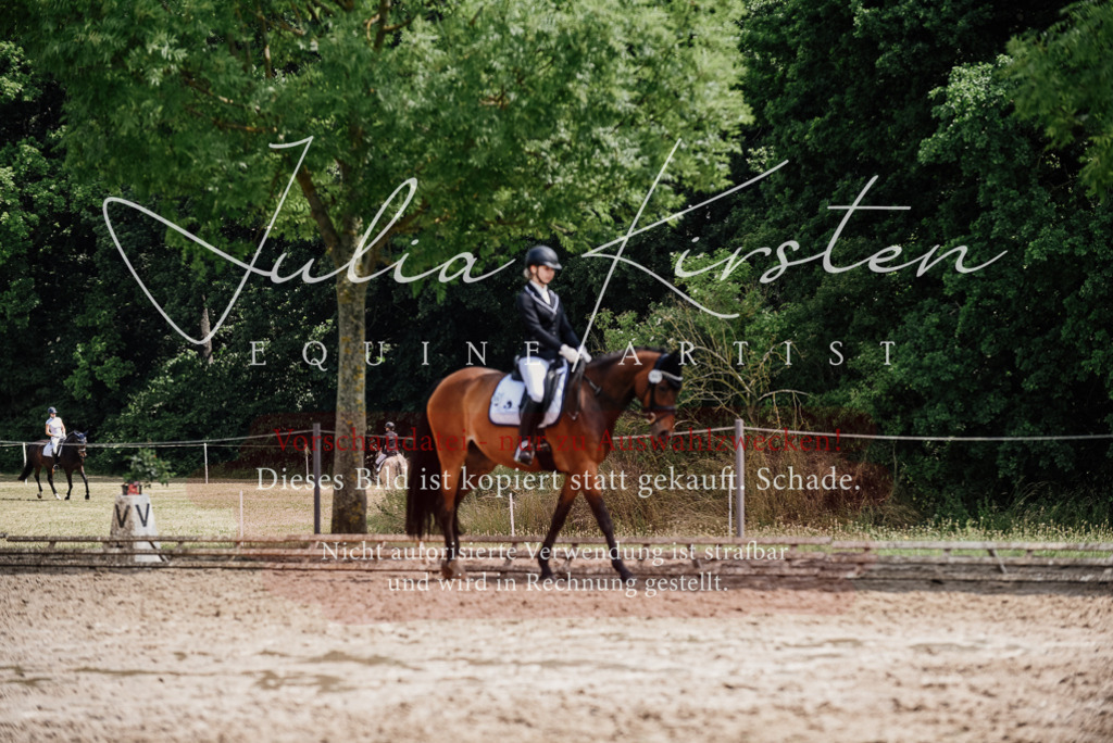DSC_0908 | Pferde- und Turnierfotografie in Westsachsen. Pferdeportraits, Auftragszeichnungen und intuitive Kunst.