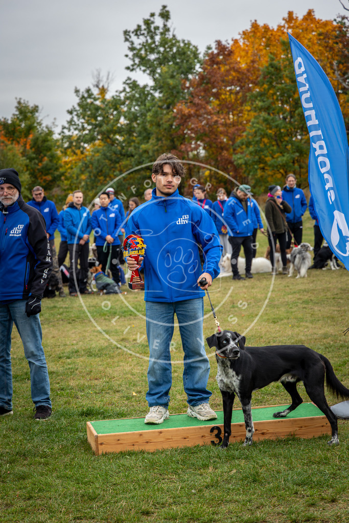 Pfotenfotografie_0L8A0459 | Hundefotografie, Tierfotograf, Pfotenfotografie, Fotoshooting Hund, Hunde Portrait, Hundesport, Hundeportraits, Heideshooting, Hunde, Sportfotograf, Hundefotograf, Turnierhundsport, THS,  - Realisiert mit Pictrs.com