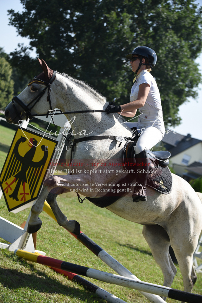 DSC_0178 | Pferde- und Turnierfotografie in Westsachsen. Pferdeportraits, Auftragszeichnungen und intuitive Kunst.