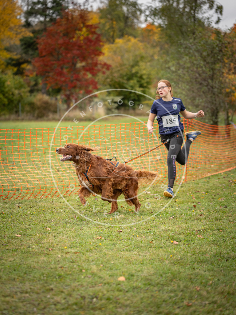 Pfotenfotografie_DV3A3751 | Hundefotografie, Tierfotograf, Pfotenfotografie, Fotoshooting Hund, Hunde Portrait, Hundesport, Hundeportraits, Heideshooting, Hunde, Sportfotograf, Hundefotograf, Turnierhundsport, THS,  - Realisiert mit Pictrs.com