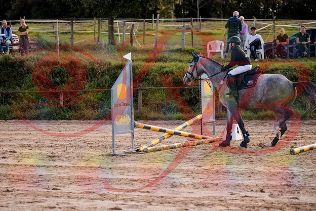 2026_10_03_Siefer-Hof_145113_Z81_29905067 | Professionelle Reitsport-, Turnier- und Eventfotografie von Robert Broda. Galerien mit ausgewählten und bearbeiteten Bildern direkt online ansehen und bestellen.