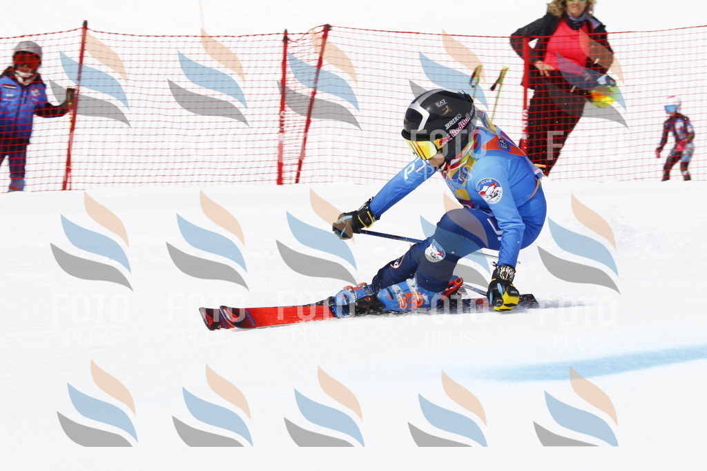 _U3G4722 | holidayphoto