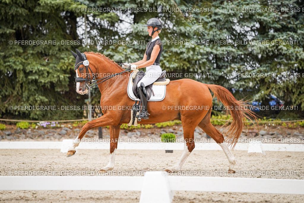 DSC07934 | Pferdegrafie