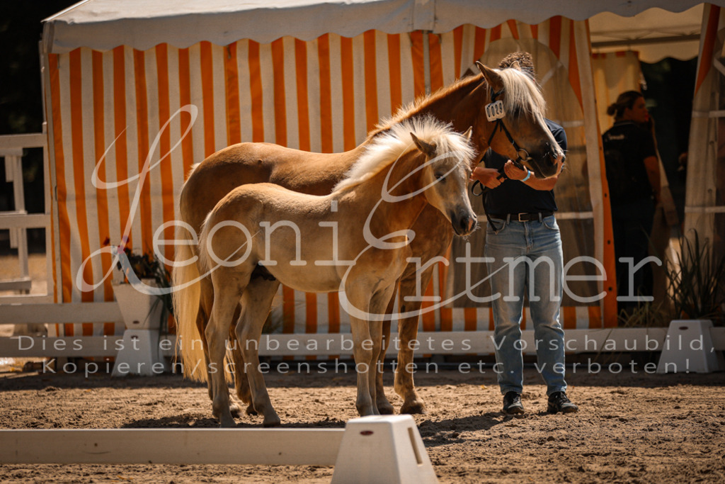 06.DoH00060 | Leoni Ertmer Photography - Realisiert mit Pictrs.com