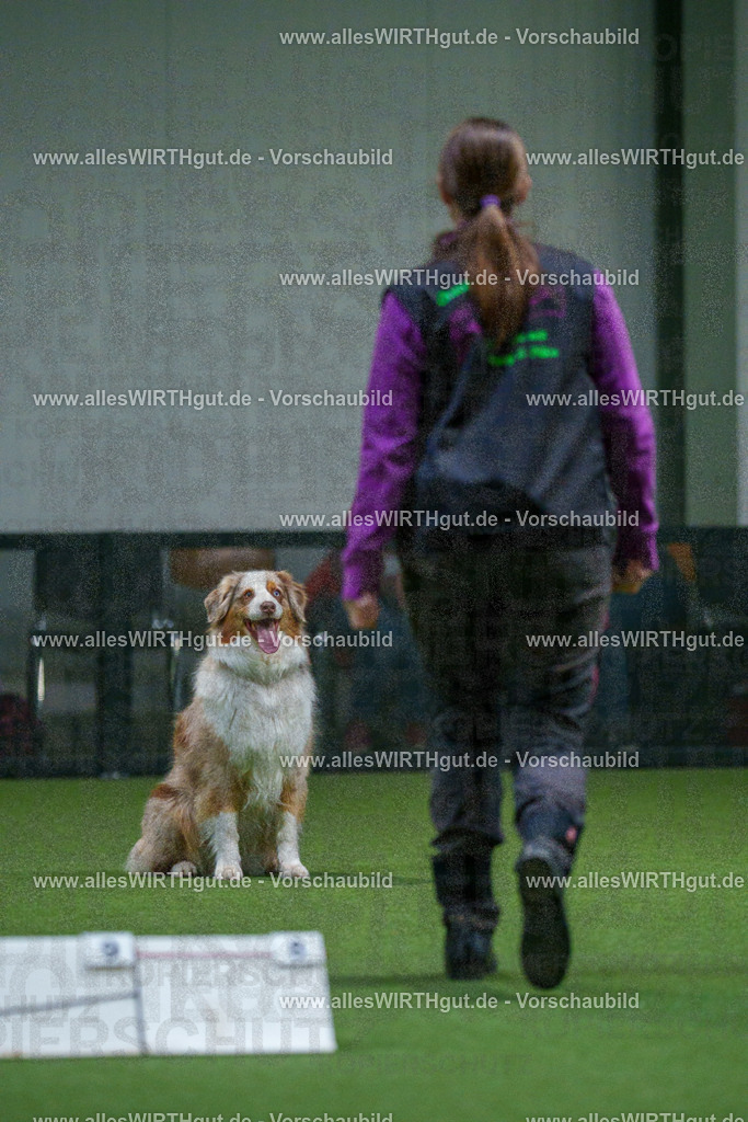 7R503891 | Professionelle Tierfotografie in Mönchengladbach von Daniel Wirth (allesWIRTHgut). Liebevolle & natürliche Bilder von Hunden & Katzen für unvergessliche Erinnerungen.