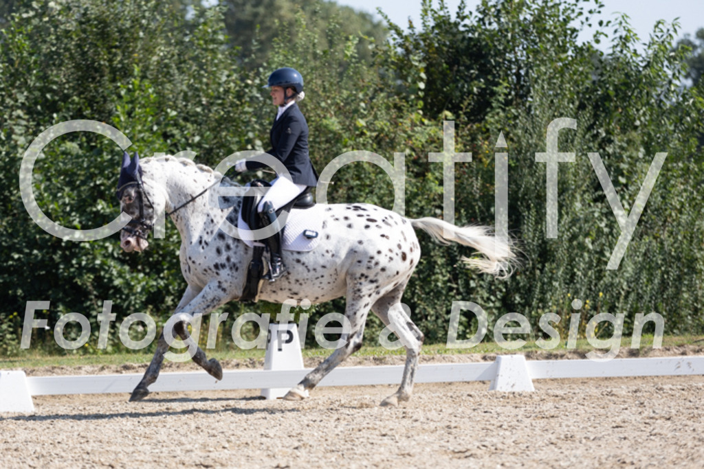 IMG_4679 | Creatify Fotografie