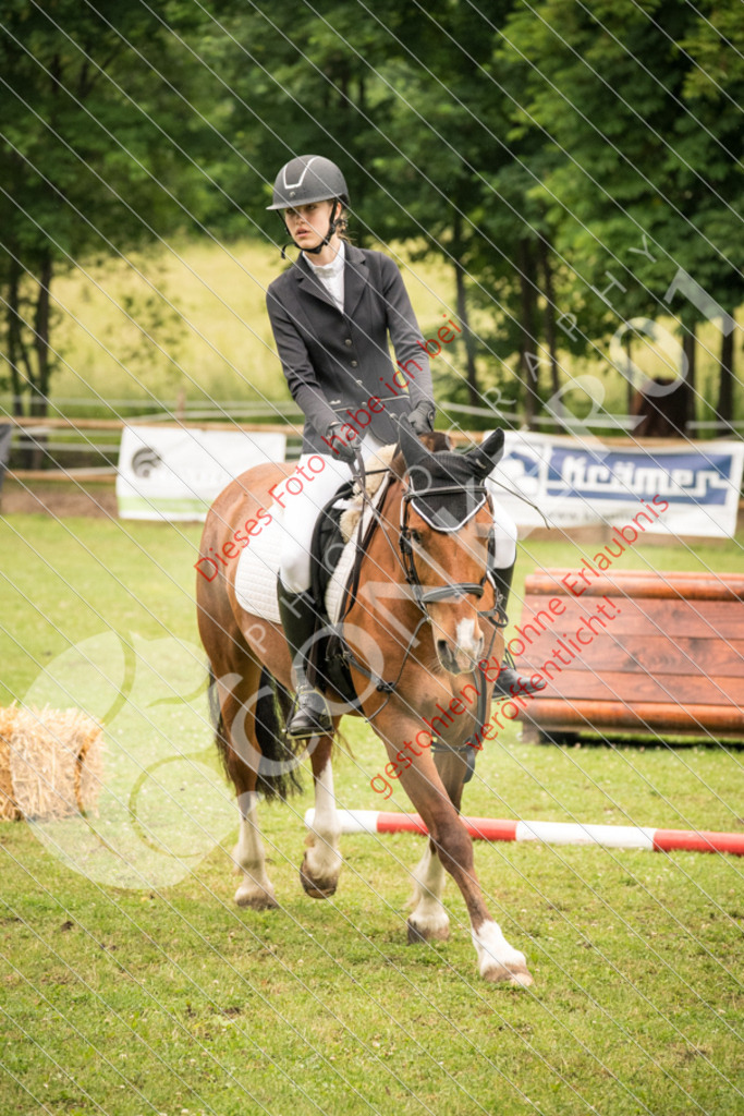 DSC_4801 | Sport-, Event- und Tierfotos in Profiqualität. Einfach auswählen, bestellen und herunterladen. Dein Moment – perfekt festgehalten.