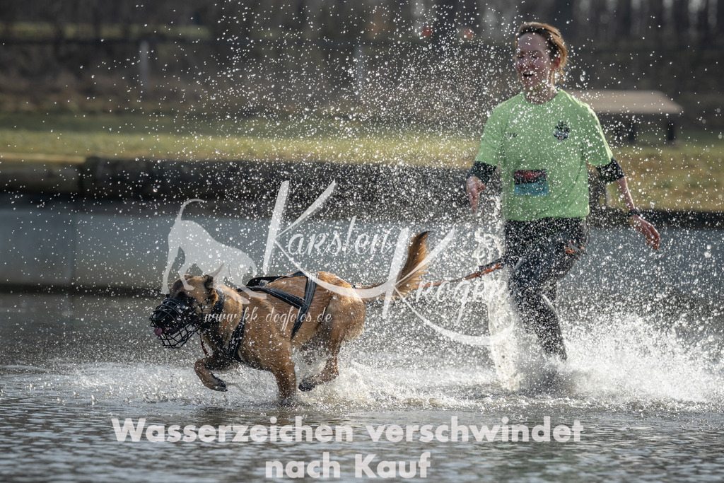 1026_ZZ97416 | kk-dogfotos