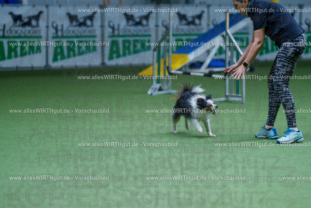 @allesWIRTHgut_Tierfotografie - www.allesWIRTHgut.de - 2604251300-7R503334 | Professionelle Tierfotografie in Mönchengladbach von Daniel Wirth (allesWIRTHgut). Liebevolle & natürliche Bilder von Hunden & Katzen für unvergessliche Erinnerungen.