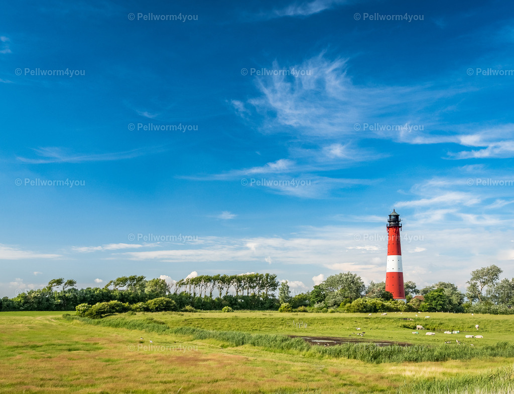 Der Leuchtturm auf Pellworm | Rot-weiß ziert der Leuchtturm die Pellwormer Sommerlandschaft. - Realisiert mit Pictrs.com