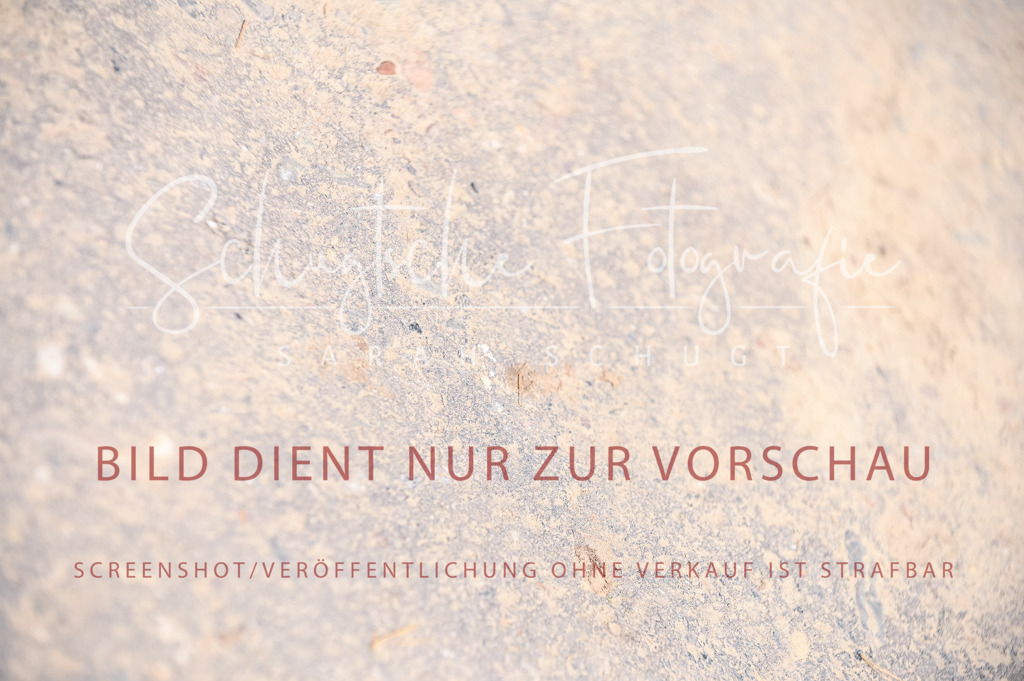 Schugtsche-Aluta25-53.Amat.Dressurprf.A2-278 | Schugtsche Fotografie - Realisiert mit Pictrs.com