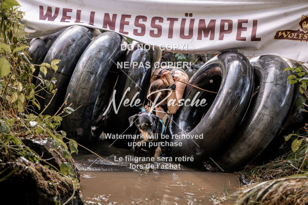 nelerasche_Hunsrück2026_Sa1400-1500_214 | nelerasche