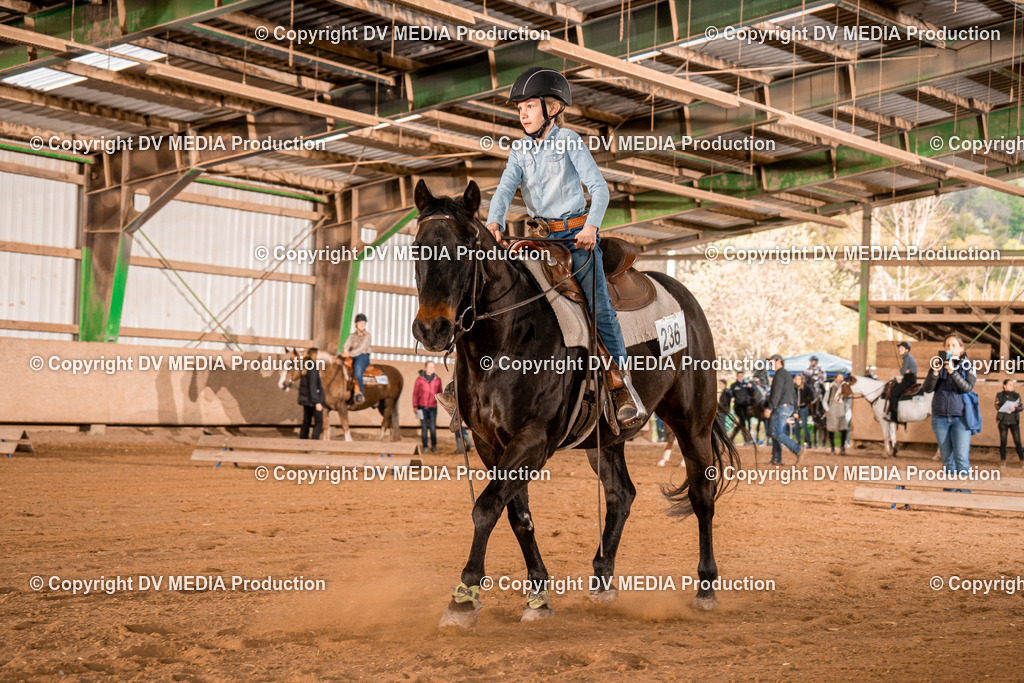 BAL02991 | dv-media-shop - Realisiert mit Pictrs.com