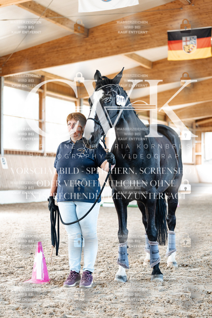 CK906212 | Turnierfotografie Pferdefotografie Trier Rheinland-Pfalz Pferdesport Reitsport Tierfotografie Sportfotografie Pferdevideo Pferdevideografie Equestrianvideography equestrianphotography  - Realisiert mit Pictrs.com