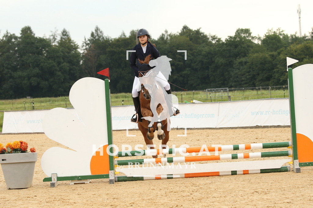 DL2Q3170 | Willkommen bei Brunnmayr - Design & Fotografie – Ihrem Spezialisten für Reitturniere und Pferdeveranstaltungen in Oberösterreich, Salzburg und Bayern! Seit über 17 Jahren sind wir leidenschaftlich dabei.