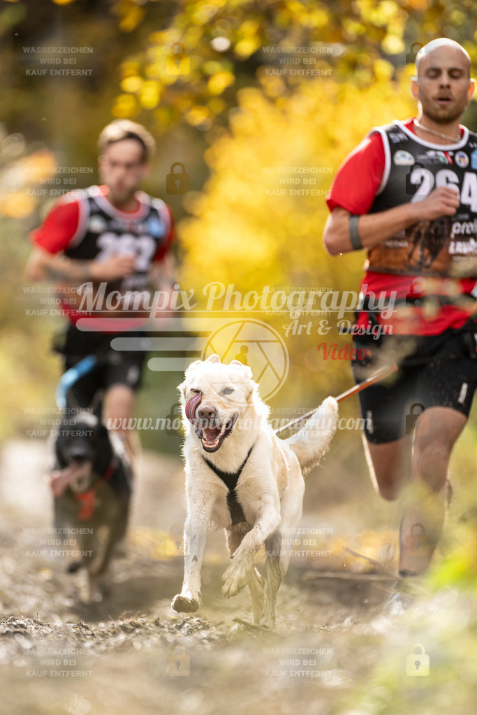 MompixPhotography_ICF_WC_2024_SA_Run_-60 | PayLife