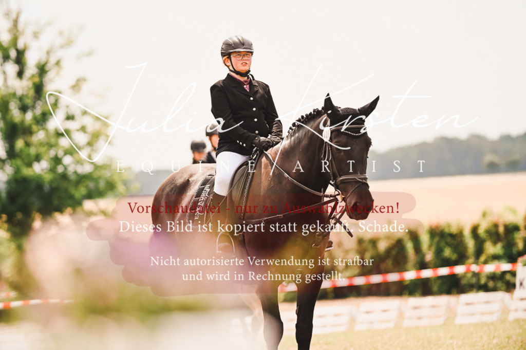 DSC_6278 | Pferde- und Turnierfotografie in Westsachsen. Pferdeportraits, Auftragszeichnungen und intuitive Kunst.