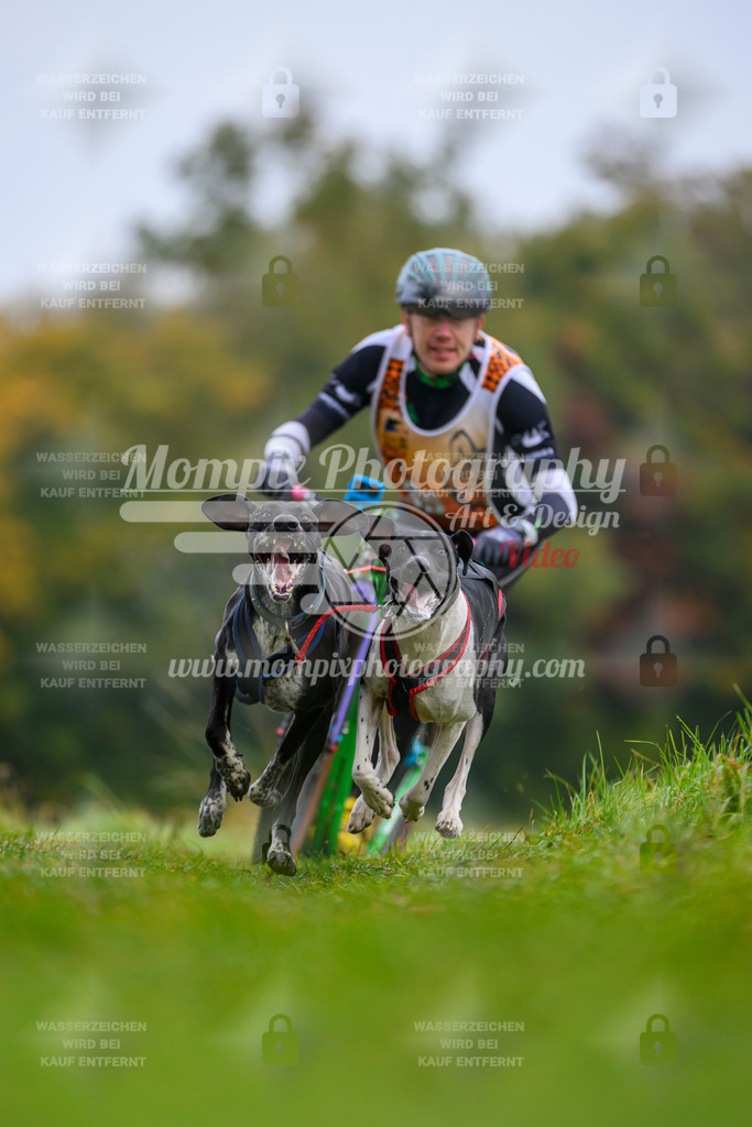 MompixPhotography_CDLBDB2025_DI_DS-2 | PayLife