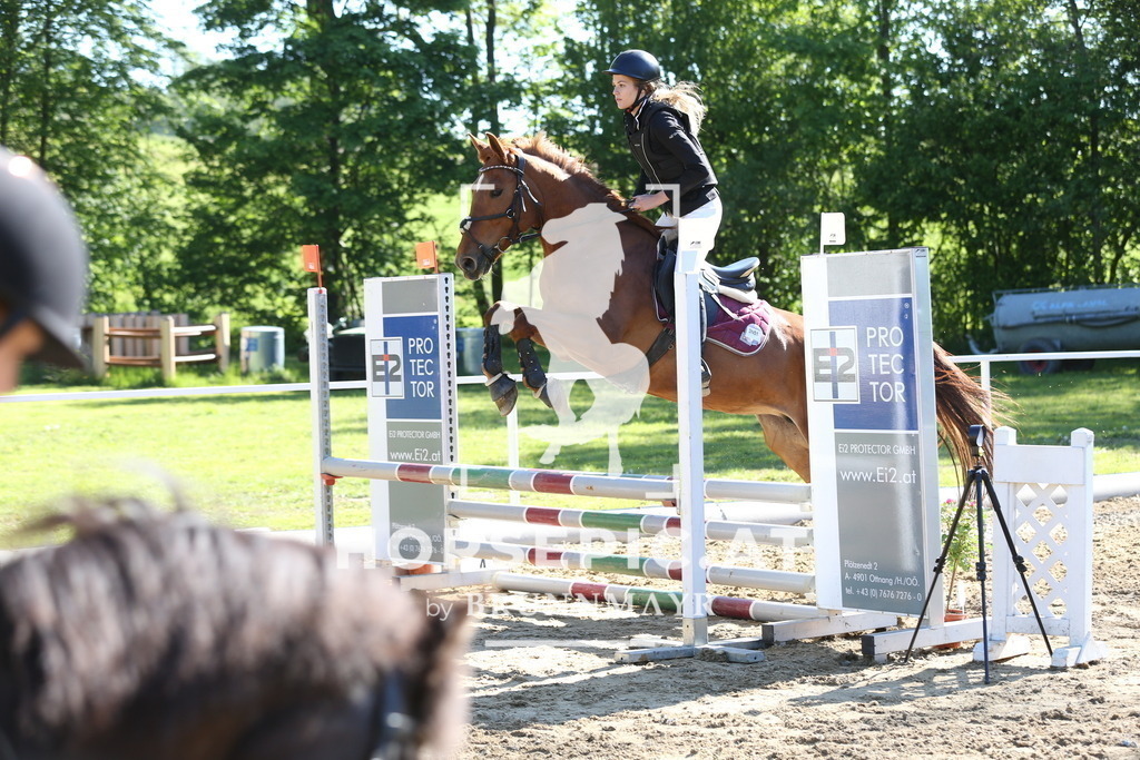 DL2Q0430 | Willkommen bei Brunnmayr - Design & Fotografie – Ihrem Spezialisten für Reitturniere und Pferdeveranstaltungen in Oberösterreich, Salzburg und Bayern! Seit über 17 Jahren sind wir leidenschaftlich dabei.