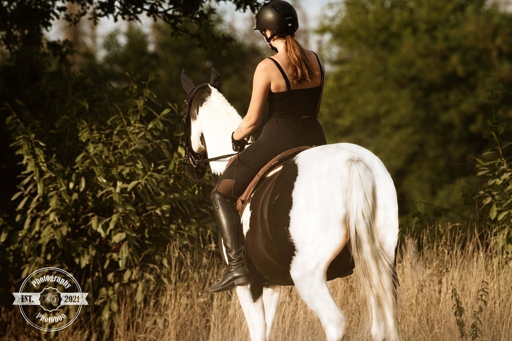 Lieblingsbilder_Photoboo_4 | Pferde- und Hundefotografie in Köln und Umgebung von Vanessza Csuka - Realisiert mit Pictrs.com