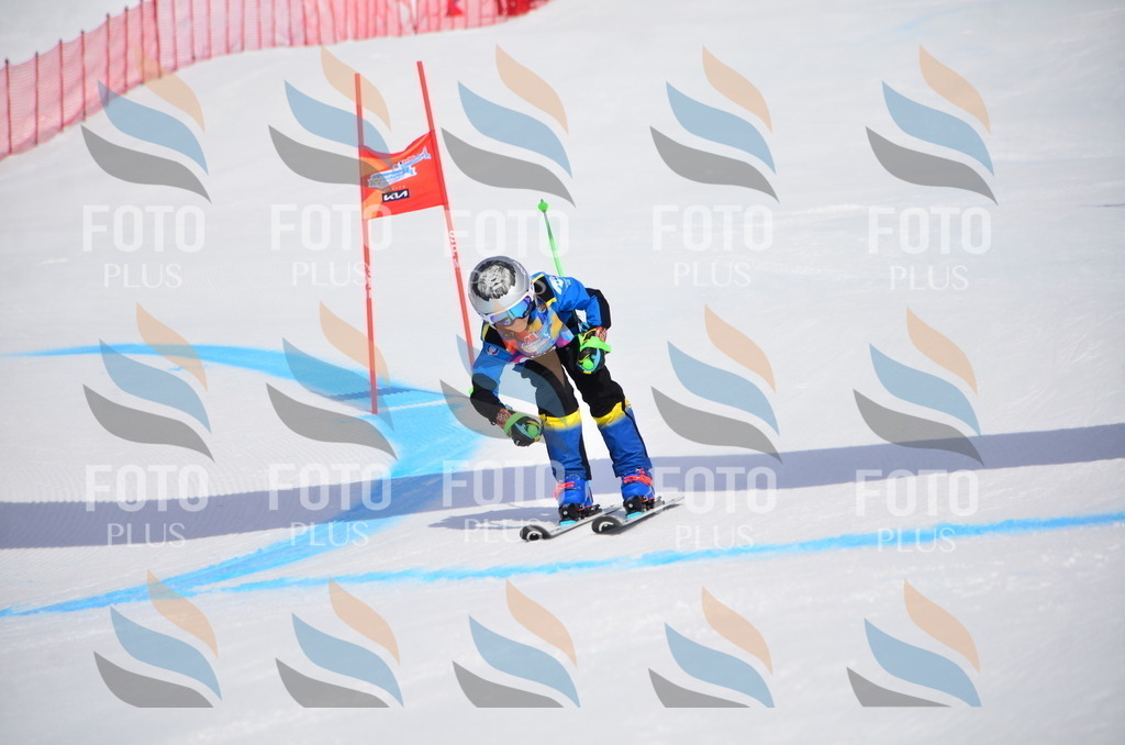 VR4_7069 | holidayphoto