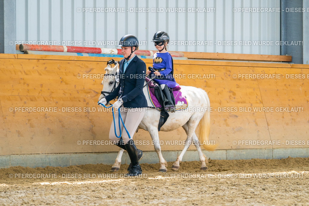 DSC09970 | Pferdegrafie