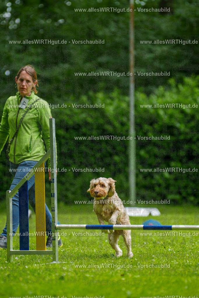 @allesWIRTHgut_Tierfotografie - www.allesWIRTHgut.de - 092129-7R506963 | Professionelle Tierfotografie in Mönchengladbach von Daniel Wirth (allesWIRTHgut). Liebevolle & natürliche Bilder von Hunden & Katzen für unvergessliche Erinnerungen.