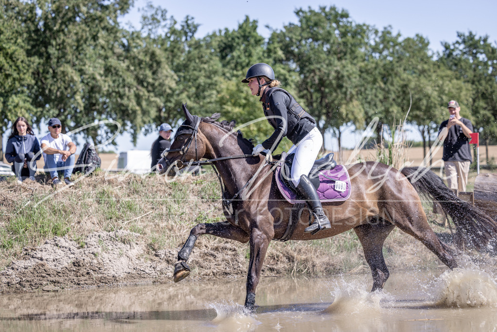 20260906-_3LI3308 | Tierfotografie Pferde, Hunde, Katzen, Haustiere.
Turnierfotografie Reitturniere, Reiten, Springreiten, Dressur in Hanau, dem Main-Kinzig-Kreis und dem Rhein-Main- Gebiet um Frankfurt
