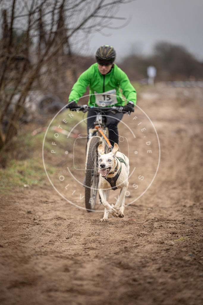 DV3A8975 | Hundefotografie, Tierfotograf, Pfotenfotografie, Fotoshooting Hund, Hunde Portrait, Hundesport, Hundeportraits, Heideshooting, Hunde, Sportfotograf, Hundefotograf, Turnierhundsport, THS,  - Realisiert mit Pictrs.com