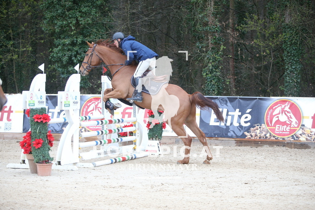 AS8V1712 | Willkommen bei Brunnmayr - Design & Fotografie – Ihrem Spezialisten für Reitturniere und Pferdeveranstaltungen in Oberösterreich, Salzburg und Bayern! Seit über 17 Jahren sind wir leidenschaftlich dabei.