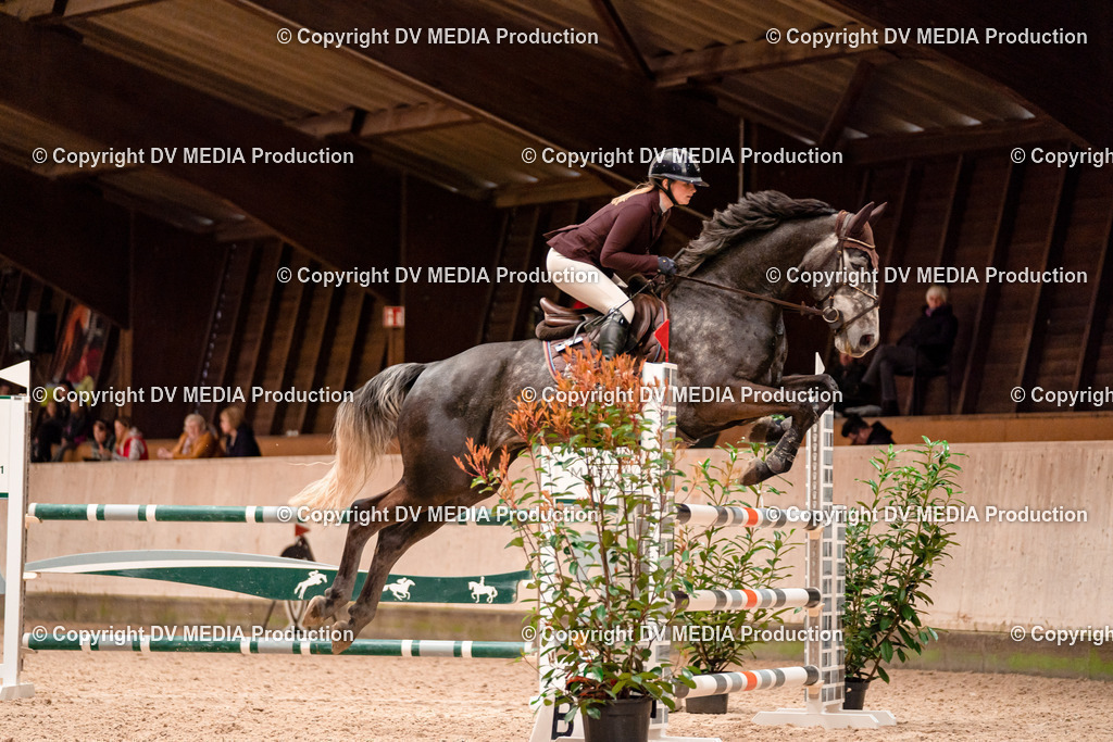 Springen Tag 1-439 | dv-media-shop - Realisiert mit Pictrs.com