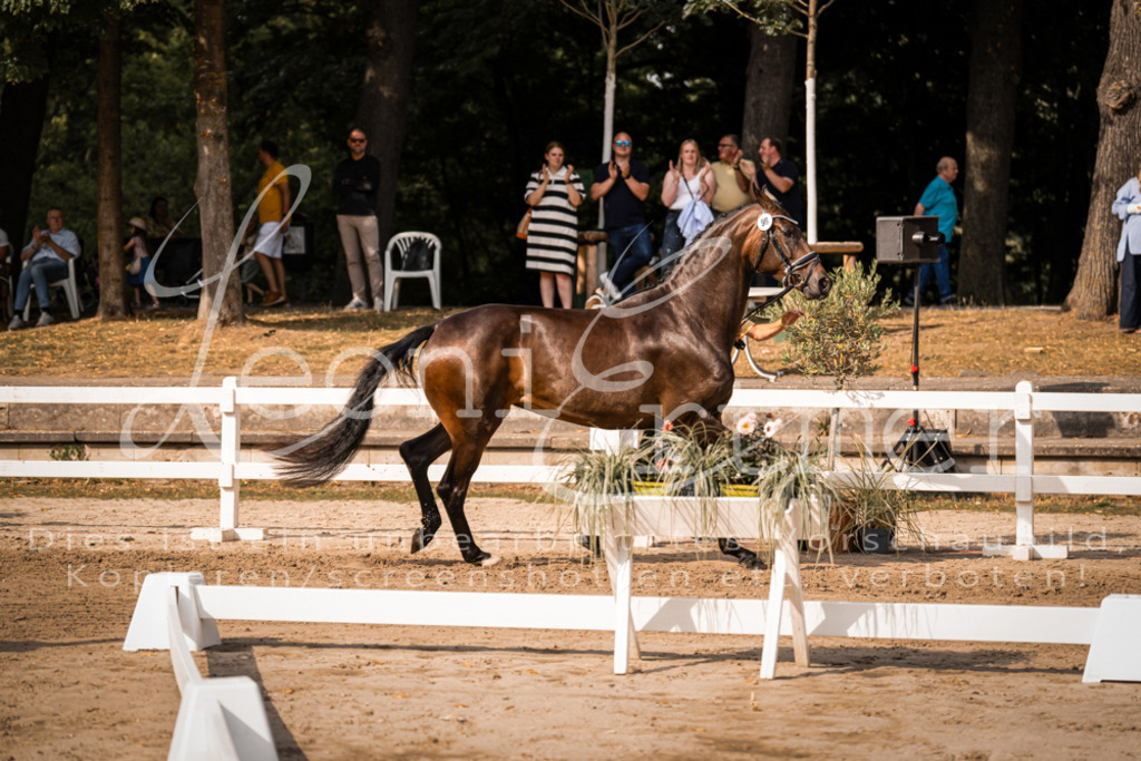 FrER00171 | Leoni Ertmer Photography - Realisiert mit Pictrs.com