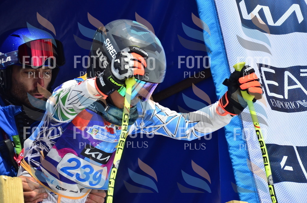 _ELE1719 | holidayphoto