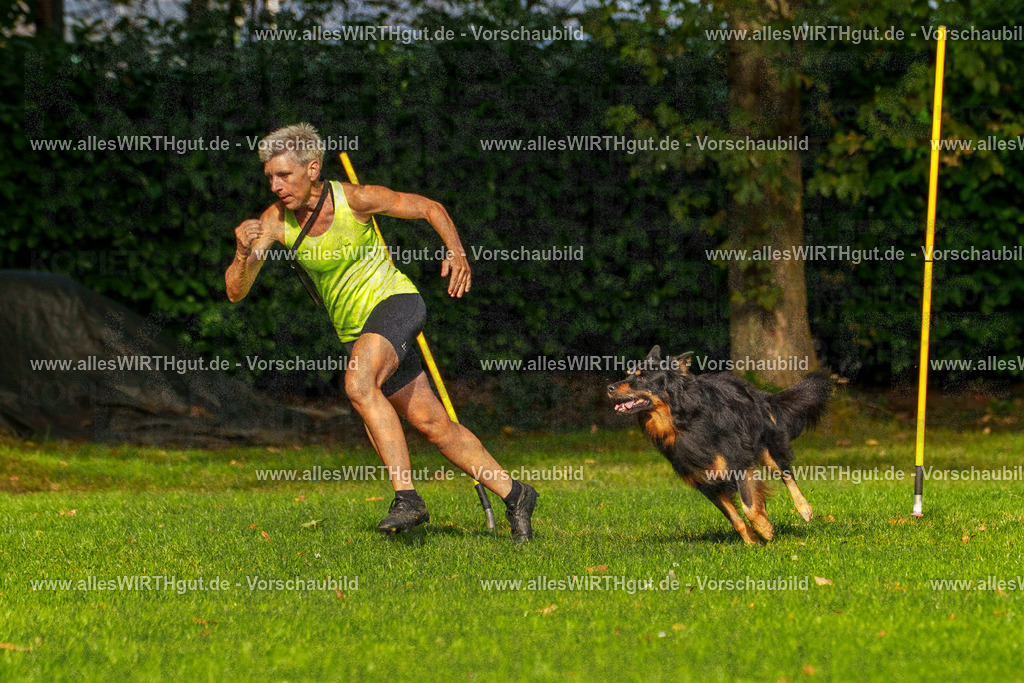 THS_Turnier_27-09-2026-allesWIRTHgut_Tierfotografie-7R506249 | Professionelle Tierfotografie in Mönchengladbach von Daniel Wirth (allesWIRTHgut). Liebevolle & natürliche Bilder von Hunden & Katzen für unvergessliche Erinnerungen.