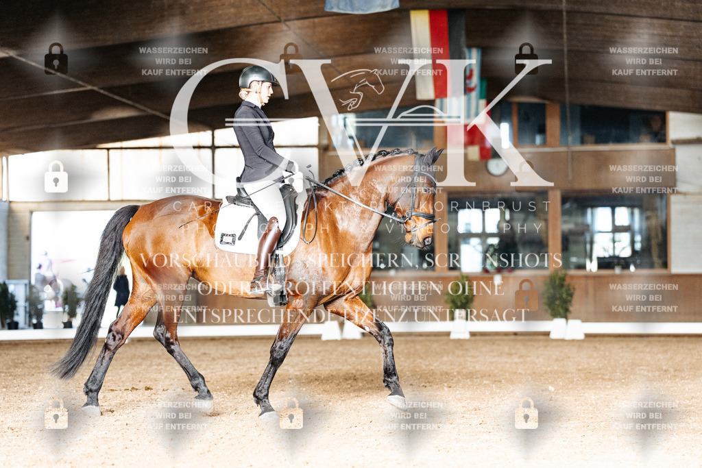 CK903069 | Turnierfotografie Pferdefotografie Trier Rheinland-Pfalz Pferdesport Reitsport Tierfotografie Sportfotografie Pferdevideo Pferdevideografie Equestrianvideography equestrianphotography  - Realisiert mit Pictrs.com