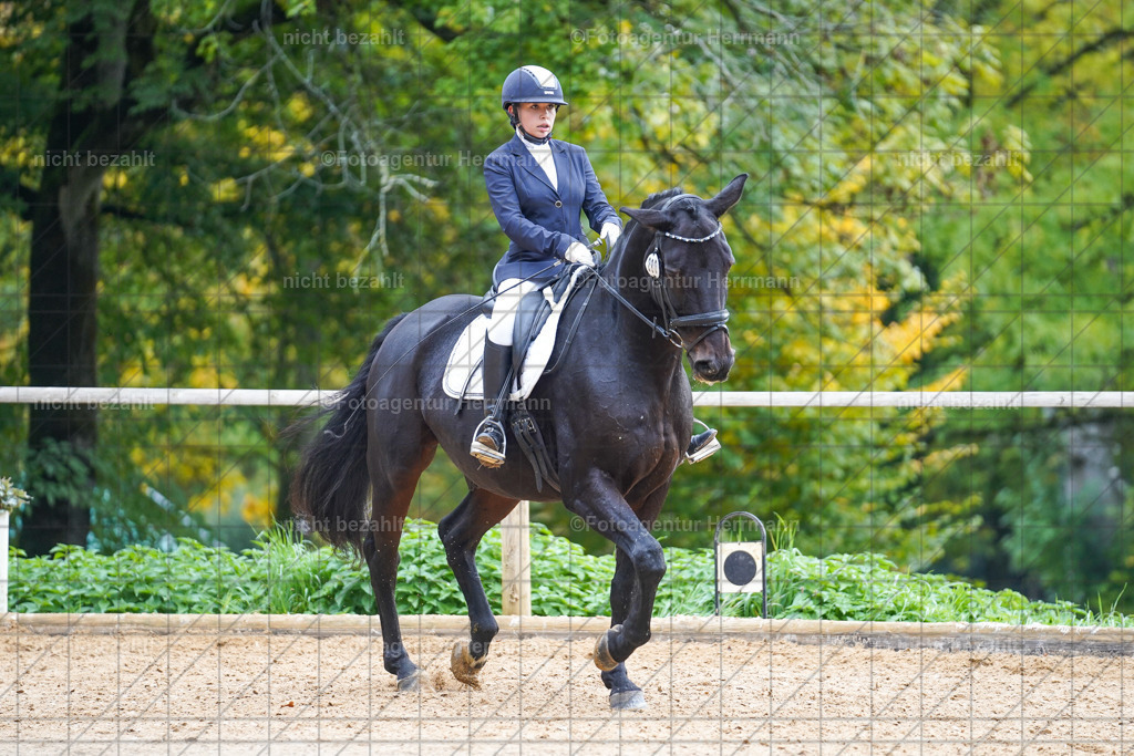 20221008-FAH00974 | Diessen am Ammersee, 2022, Dressur- und Springturnier, Reitsportbilder, Turnierfotografen Bayern, Pferdefotografen, Fotoagentur Herrmann, Turnierbilder