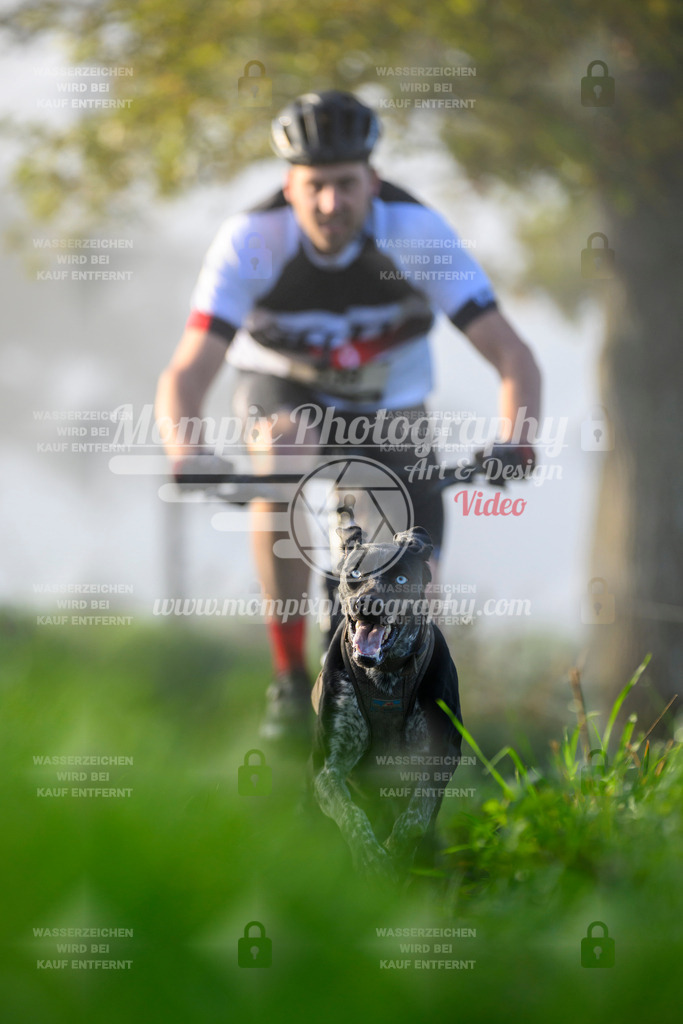 MompixPhotography_20TSB_E3_Bike-83 | PayLife