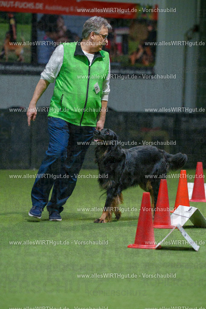 7R505344 | Professionelle Tierfotografie in Mönchengladbach von Daniel Wirth (allesWIRTHgut). Liebevolle & natürliche Bilder von Hunden & Katzen für unvergessliche Erinnerungen.