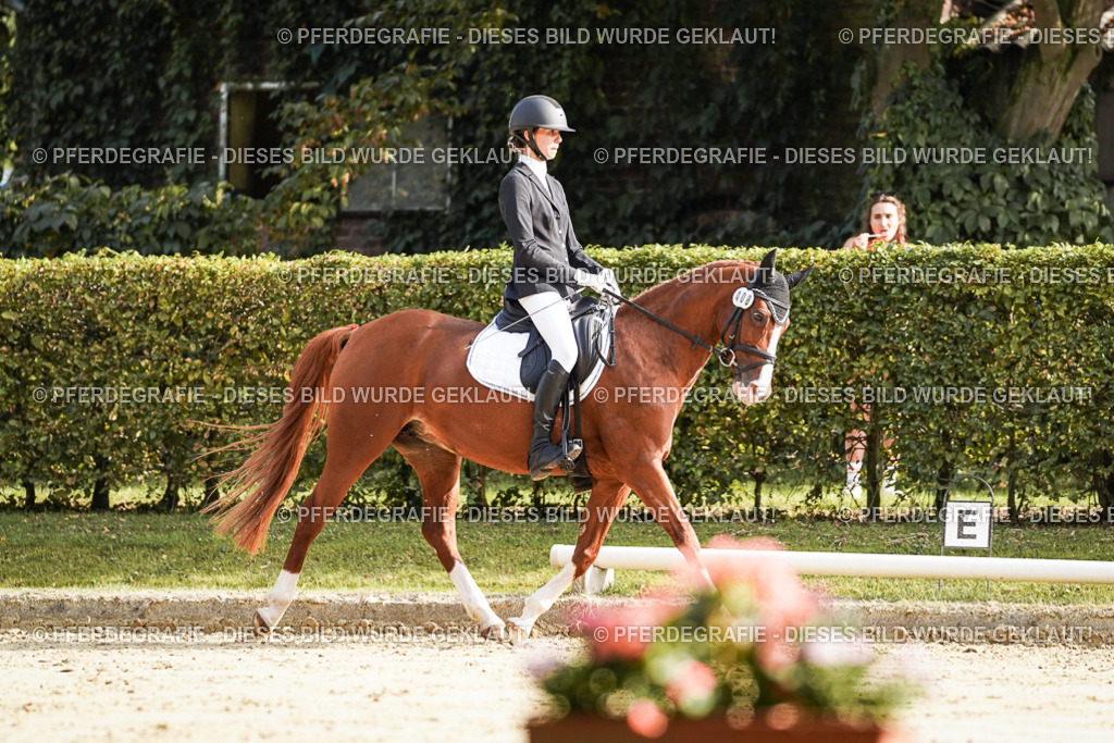 DSC05820 | Pferdegrafie