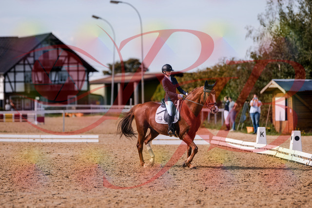 2026_10_03_Siefer-Hof_133157_Z81_87610902 | Professionelle Reitsport-, Turnier- und Eventfotografie von Robert Broda. Galerien mit ausgewählten und bearbeiteten Bildern direkt online ansehen und bestellen.