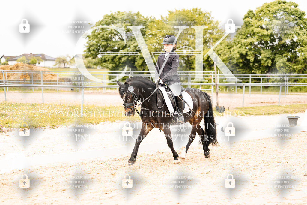 CK904209 | Turnierfotografie Pferdefotografie Trier Rheinland-Pfalz Pferdesport Reitsport Tierfotografie Sportfotografie Pferdevideo Pferdevideografie Equestrianvideography equestrianphotography  - Realisiert mit Pictrs.com