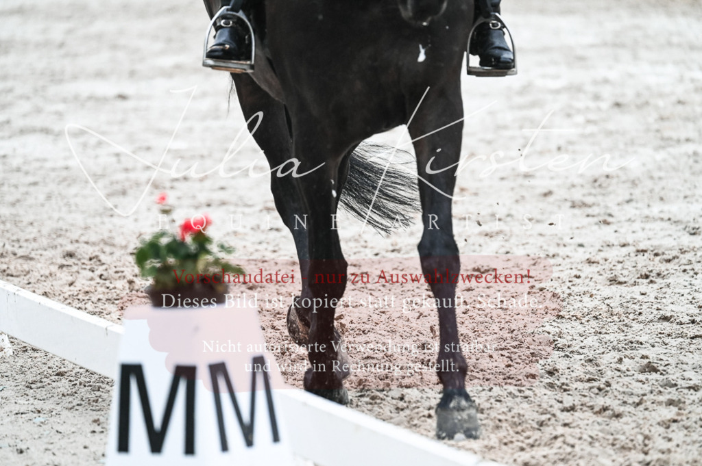 DSC_4690 | Pferde- und Turnierfotografie in Westsachsen. Pferdeportraits, Auftragszeichnungen und intuitive Kunst.
