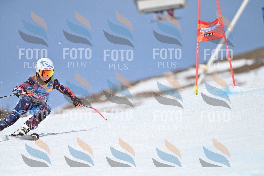 BGV_2757 | holidayphoto