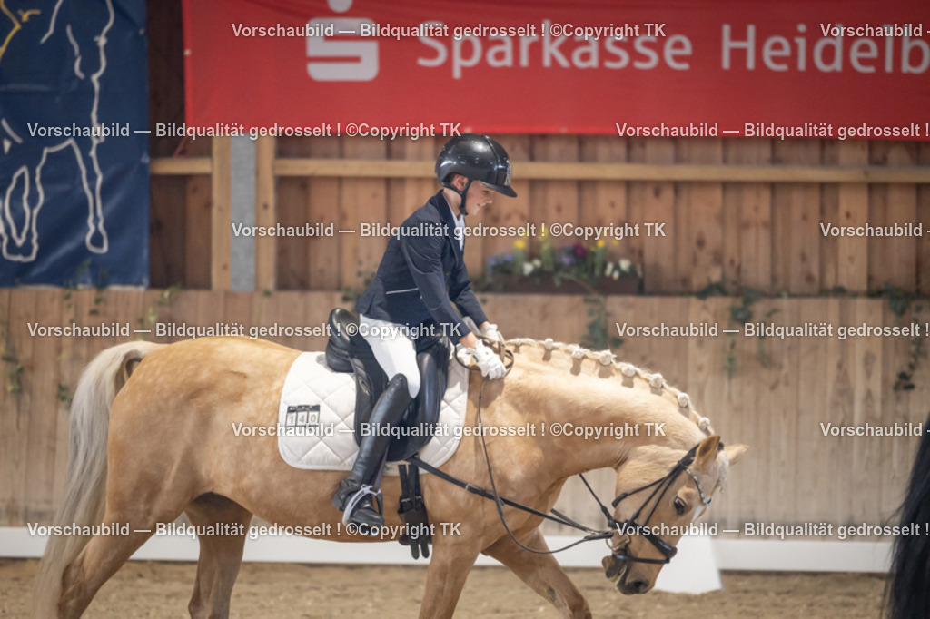 _D5A2314 | Emotionale Pferde- & People-Fotografie rund um Heidelberg, Leimen & Umgebung. Natürliche Fotos von Pferd, Mensch & Familie. Jetzt Termin sichern!