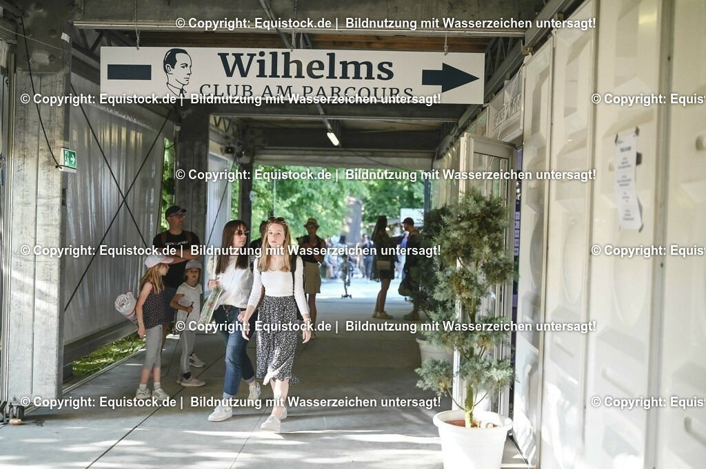 D78_3801 | equistock