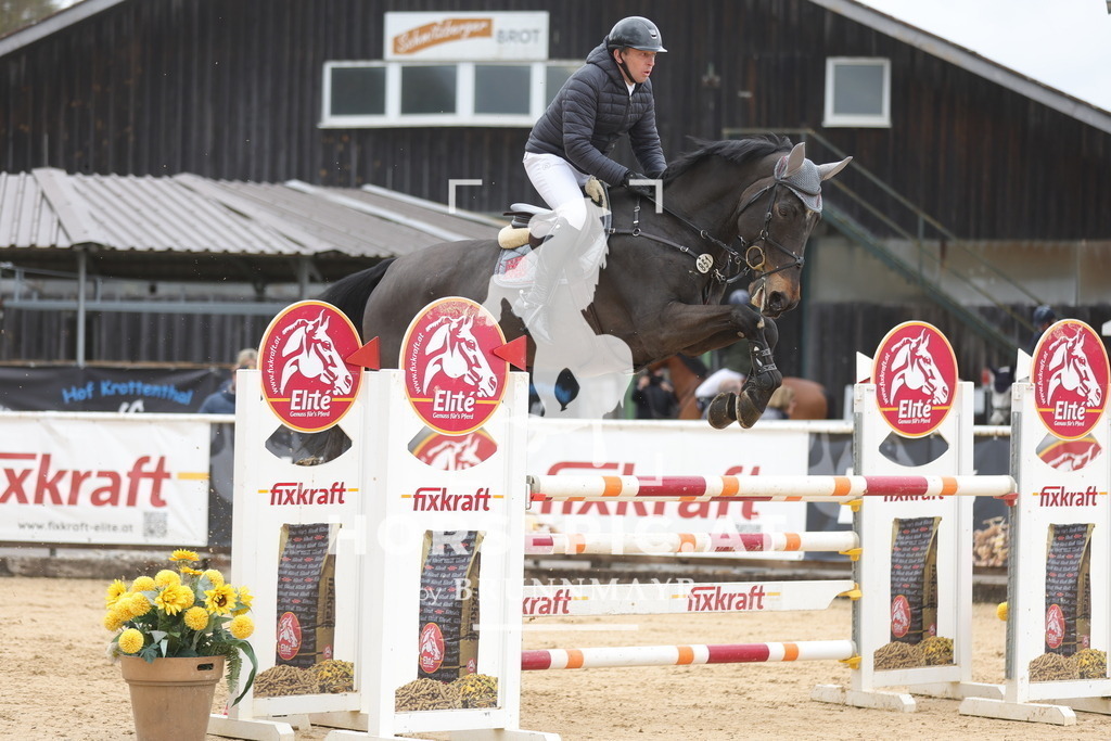 0P6A2143 | Willkommen bei Brunnmayr - Design & Fotografie – Ihrem Spezialisten für Reitturniere und Pferdeveranstaltungen in Oberösterreich, Salzburg und Bayern! Seit über 17 Jahren sind wir leidenschaftlich dabei.