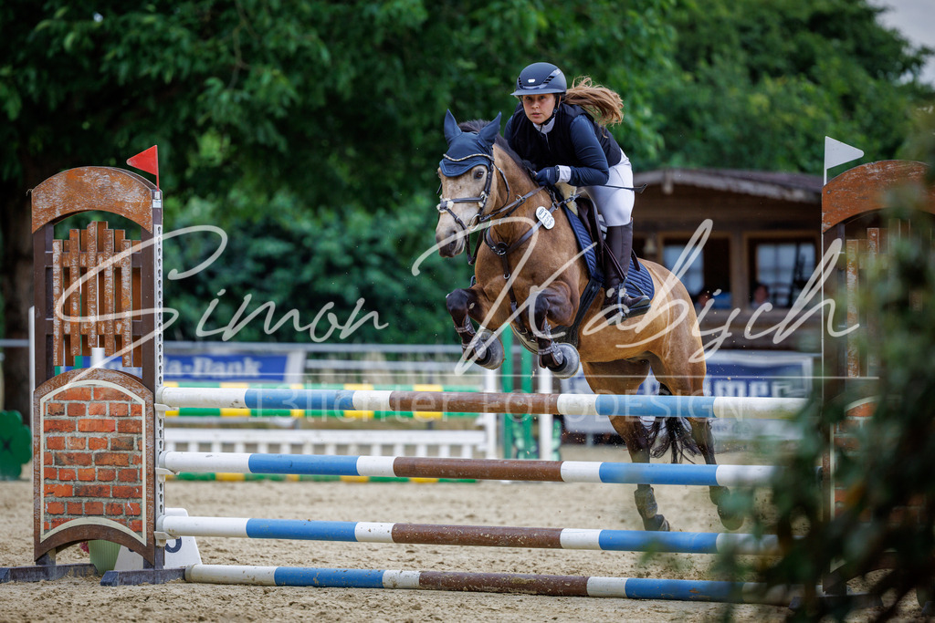 20260705-_3LI5406 | Tierfotografie Pferde, Hunde, Katzen, Haustiere.
Turnierfotografie Reitturniere, Reiten, Springreiten, Dressur in Hanau, dem Main-Kinzig-Kreis und dem Rhein-Main- Gebiet um Frankfurt