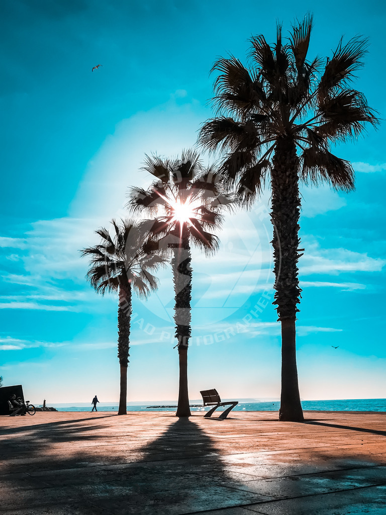 IMG_0882 | Brillante Fotoabzüge aus Mallorca, Foto Downloads aus Mallorca, Mallorca Postkarten, Mallorca FineArt-Papiere, Mallorca Leinwandrucke, Mallorca Forex Direktdruck, Mallorca Alu Dibond, Mallorca Acrylglas, mit Fotos rund um die Balearen - Insel Mallorca 