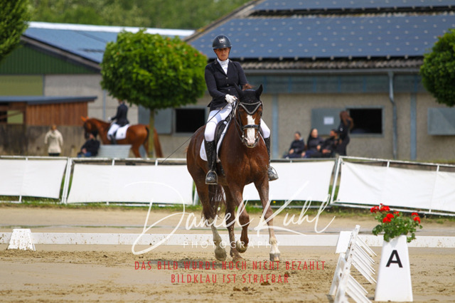 DKP40747 | Turniersportfotografie; Pferdefotografie; Dressurfotografie